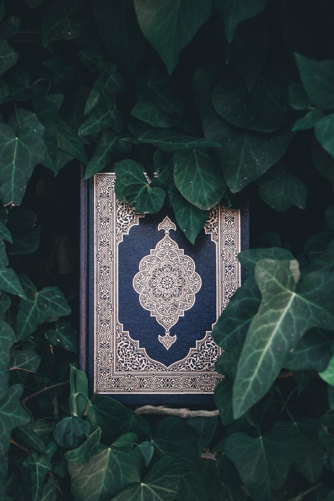 quran, islam, muslim, holy book, religion, holy quran, quran in nature, religious, quran, quran, quran, quran, quran